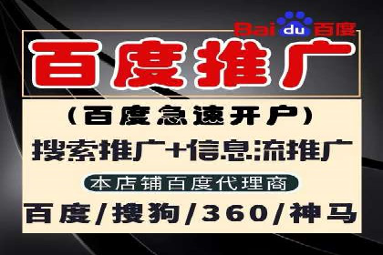 SEM代理助力企业：成功案例分析